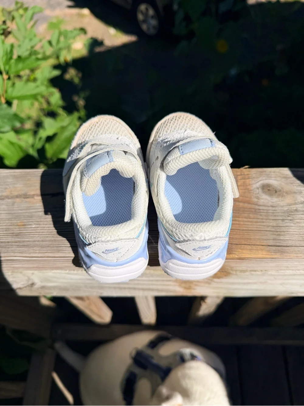 Toddler Bundle 3 pairs of shoes. Slip-On Clogs and Dinosaur Sneakers
